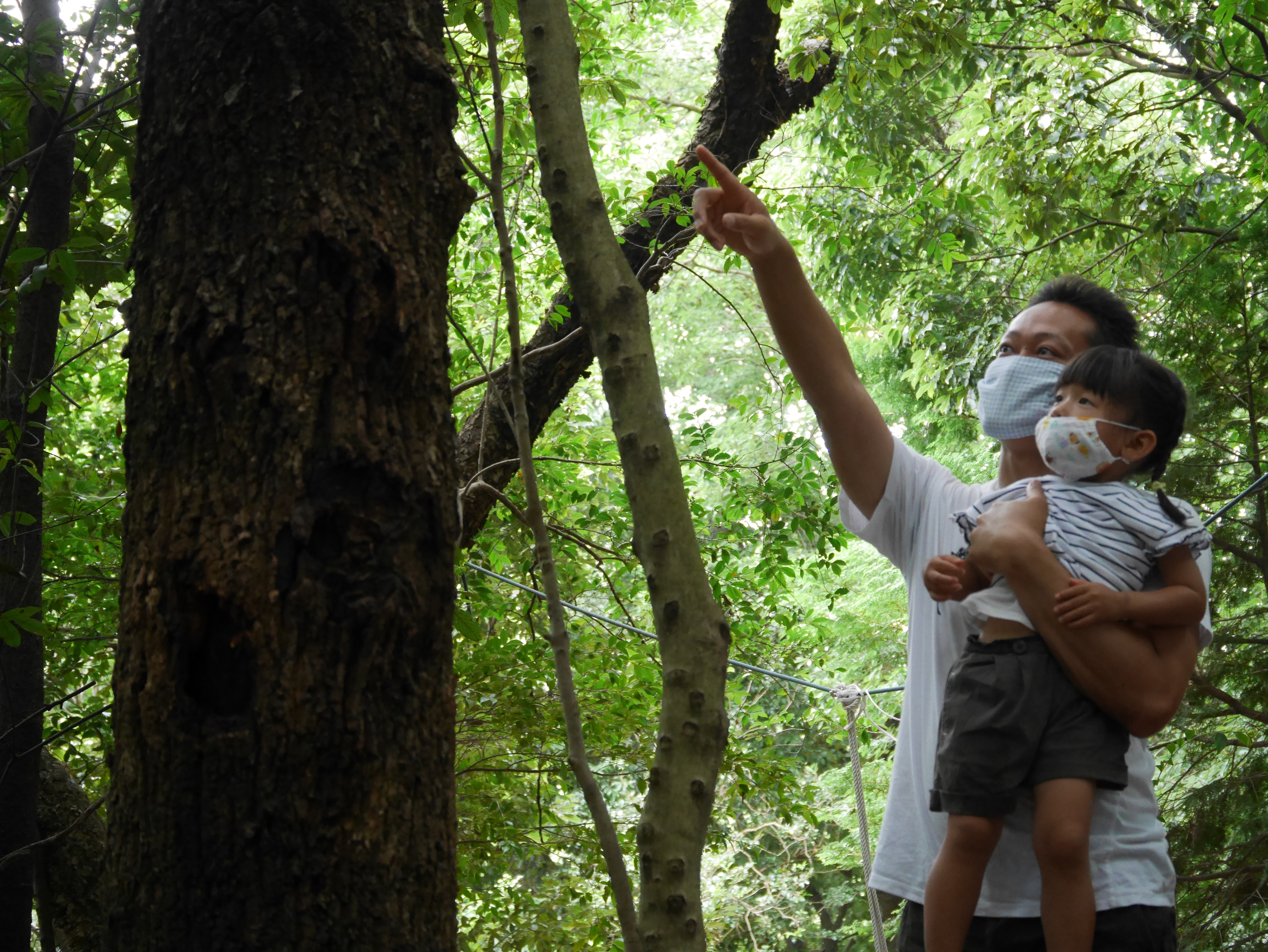 ★園庭開放②（未就園児・地域のお子さん対象）★