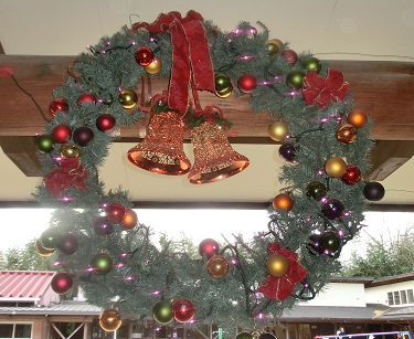 最後のわんぱく広場がありました♪　～午後の部～