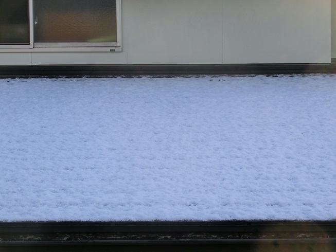 雪・ゆき・ユキ♪:画像２