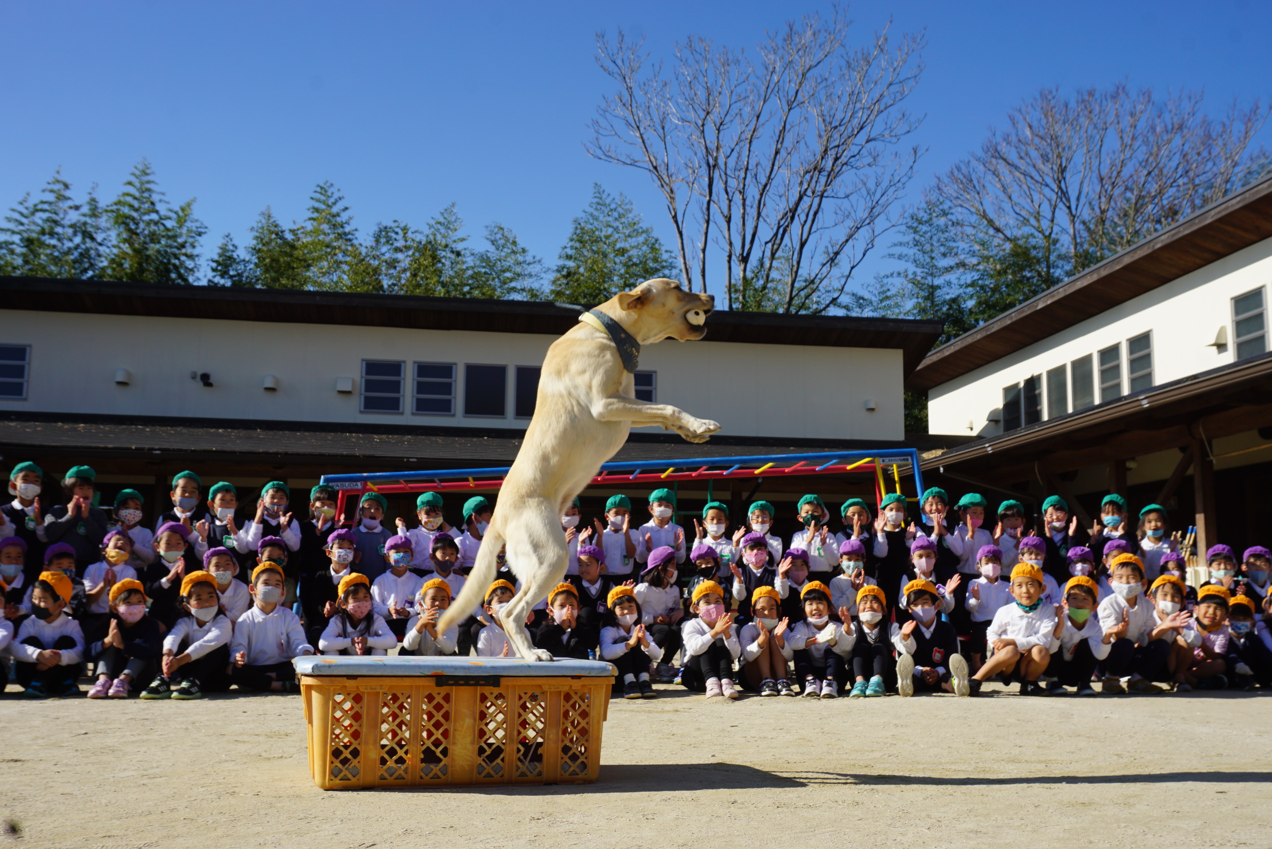 ★いちご動物園★①
