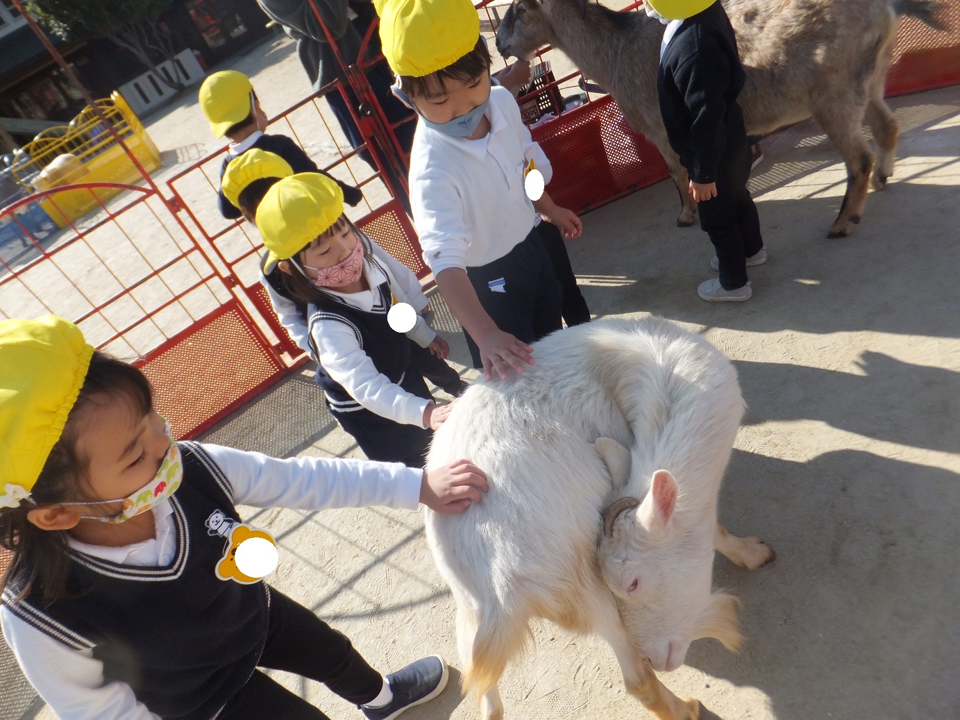 ★いちご動物園★①:画像２