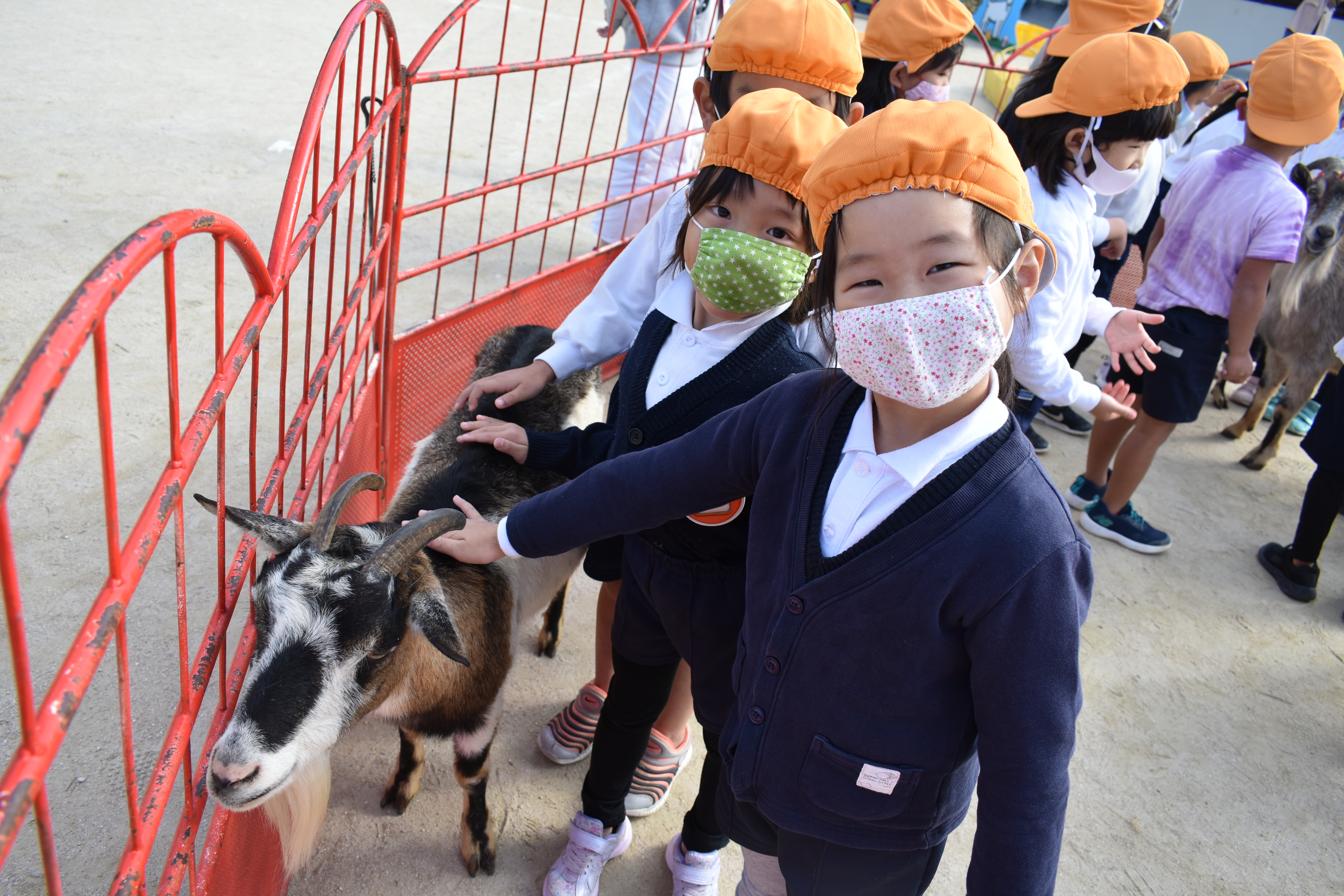 ★いちご動物園★②:画像３
