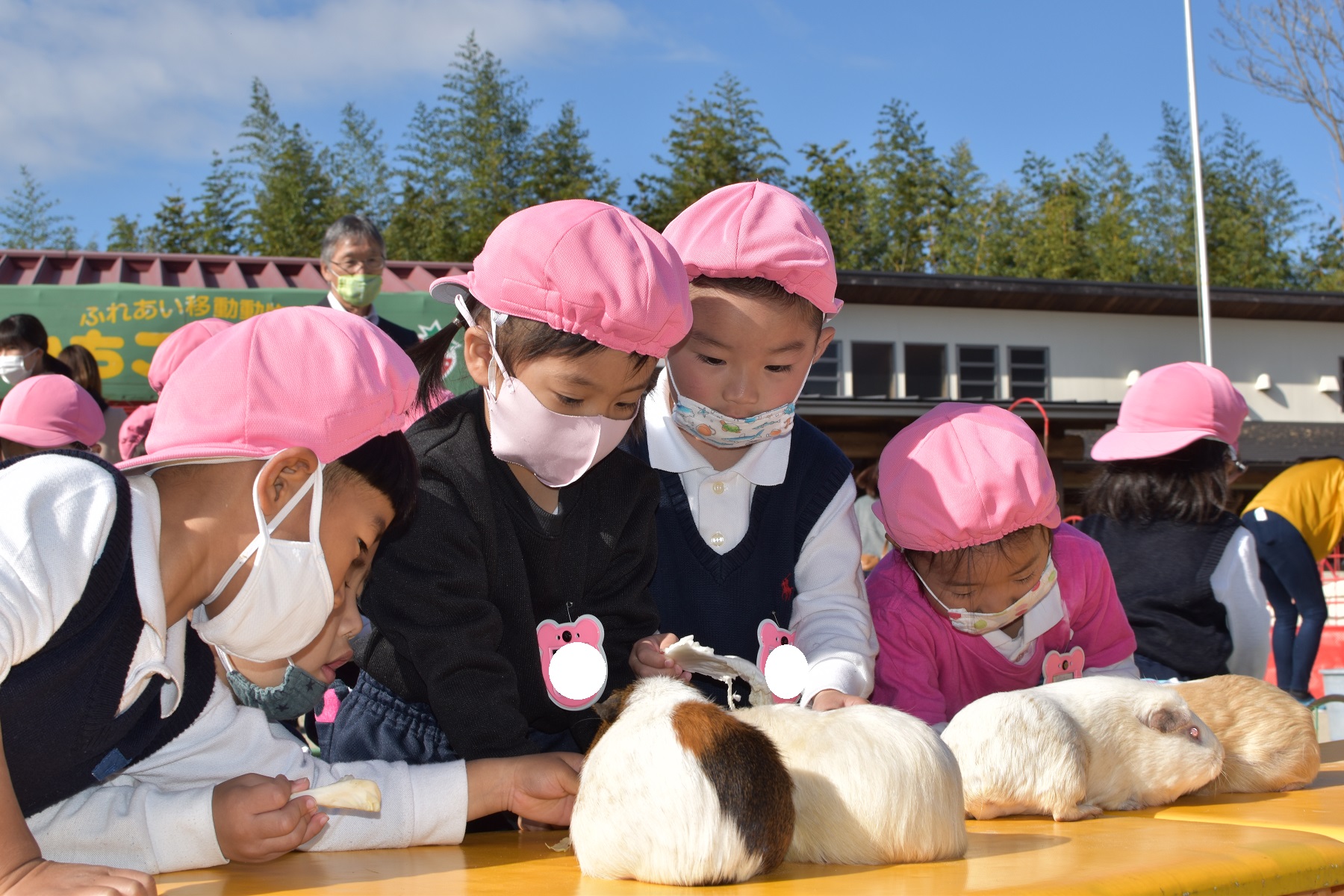 ★いちご動物園★①:画像５