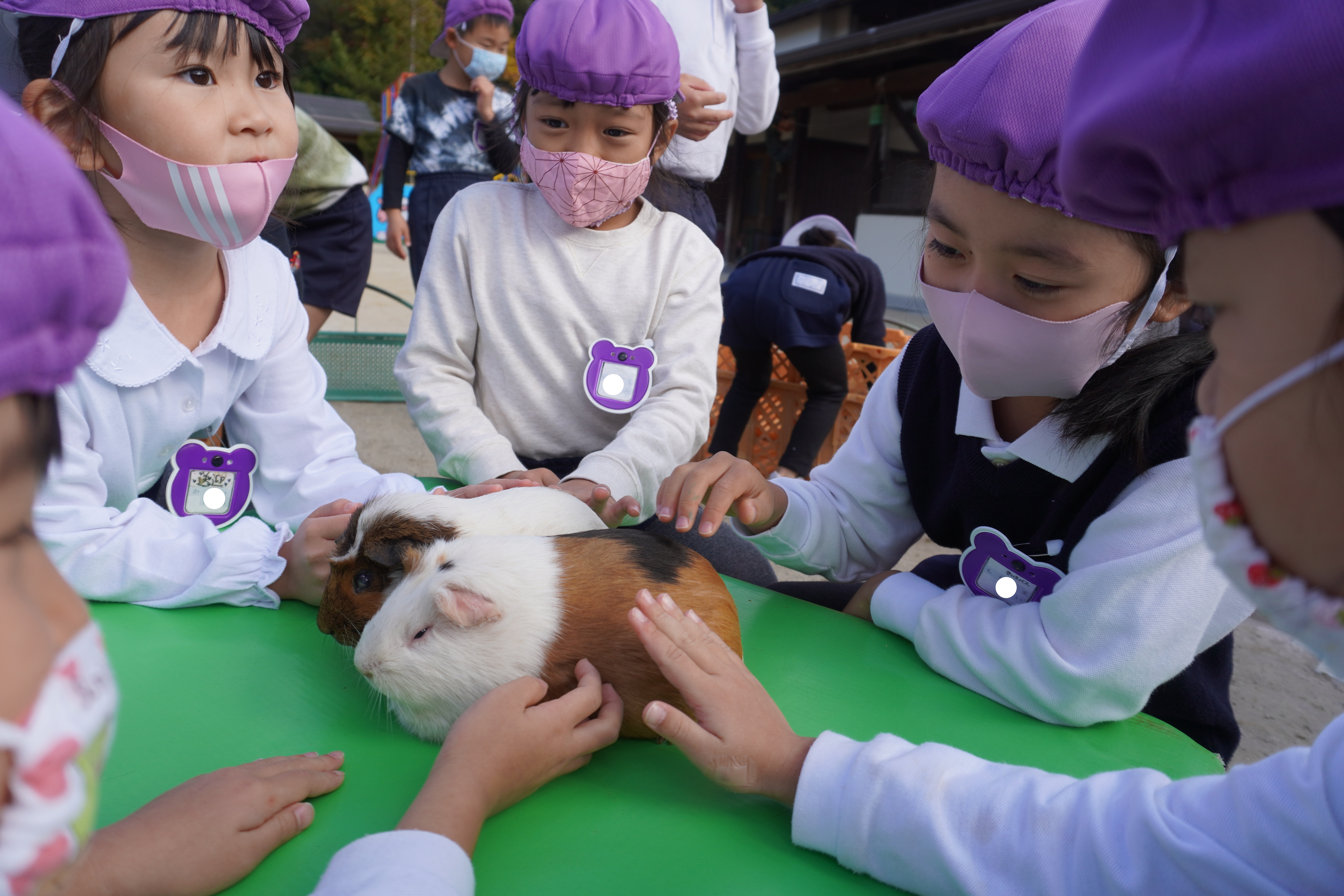 ★いちご動物園★①:画像３