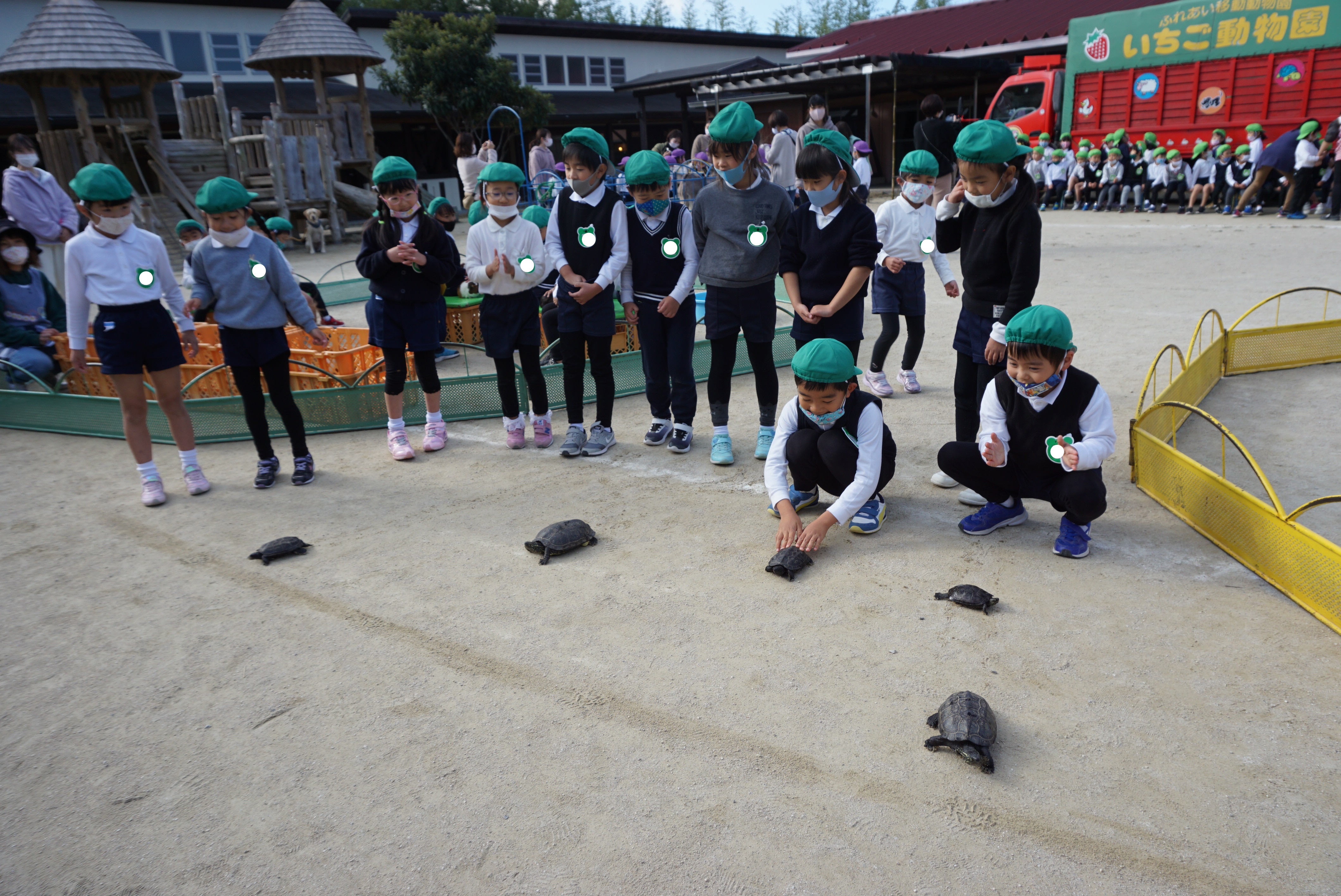 ★いちご動物園★②:画像１