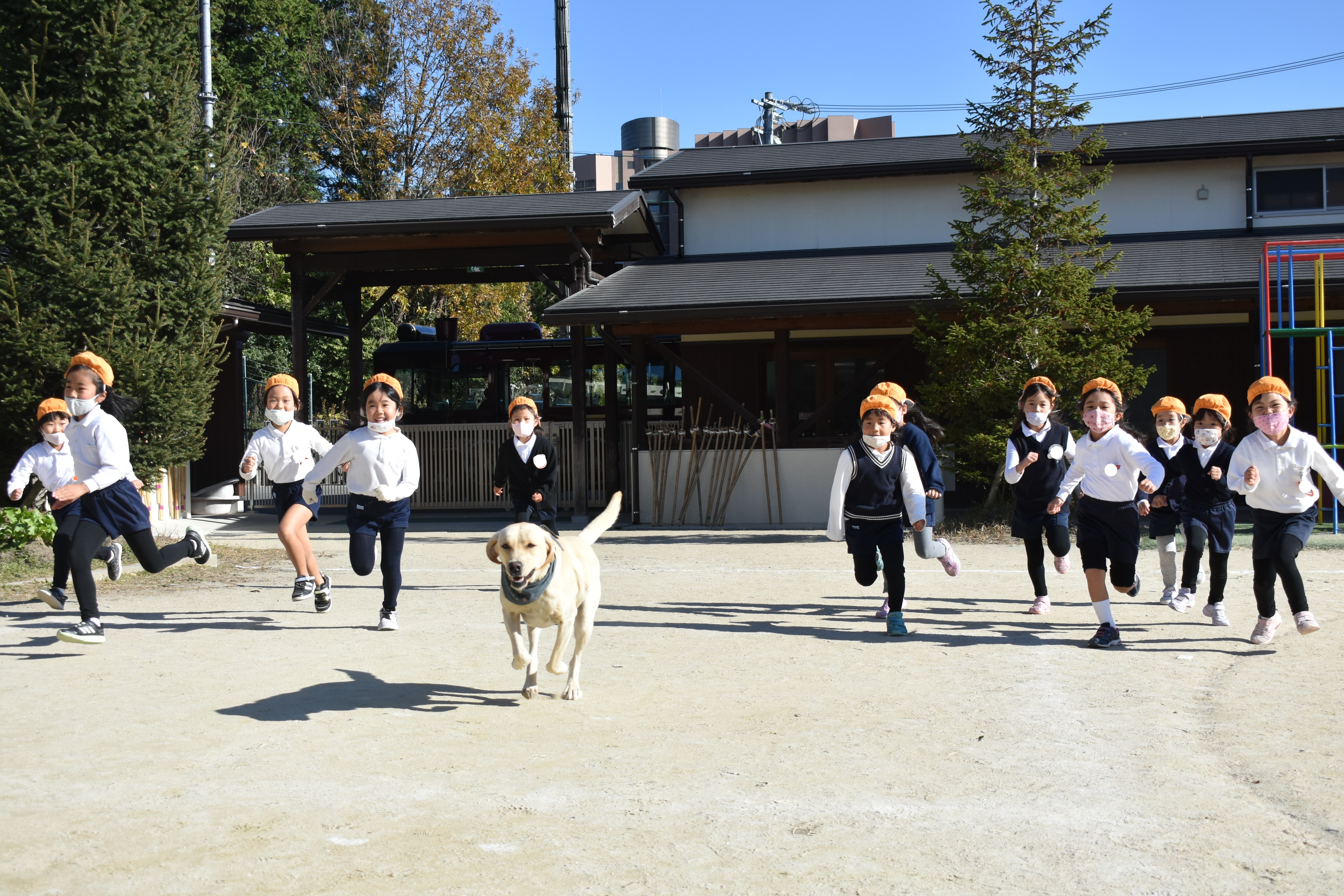 ★いちご動物園★②:画像６