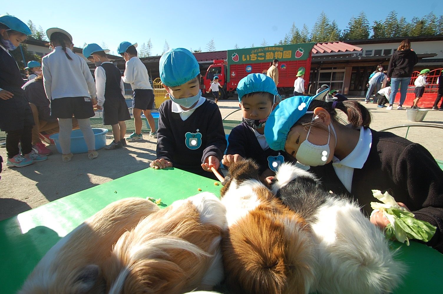 ★いちご動物園★②:画像２