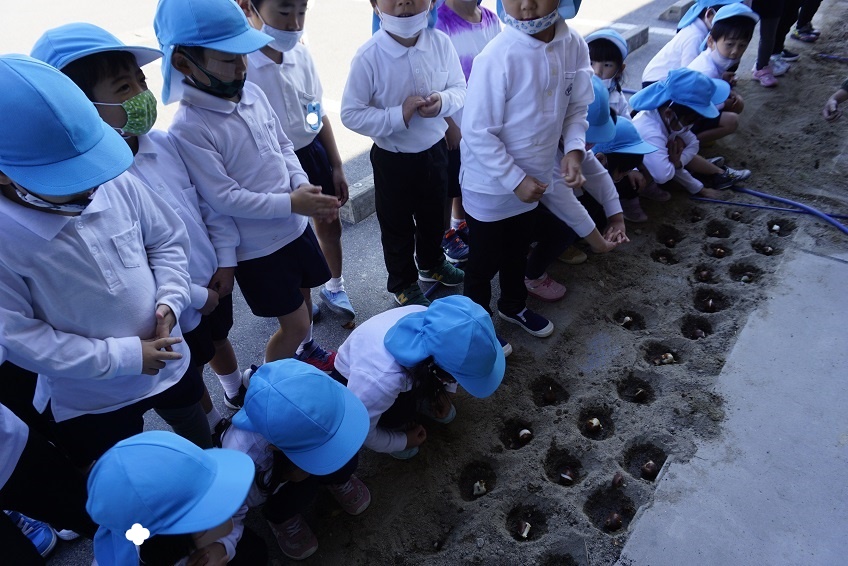 ☆年中☆　チューリップの球根を植えたよ