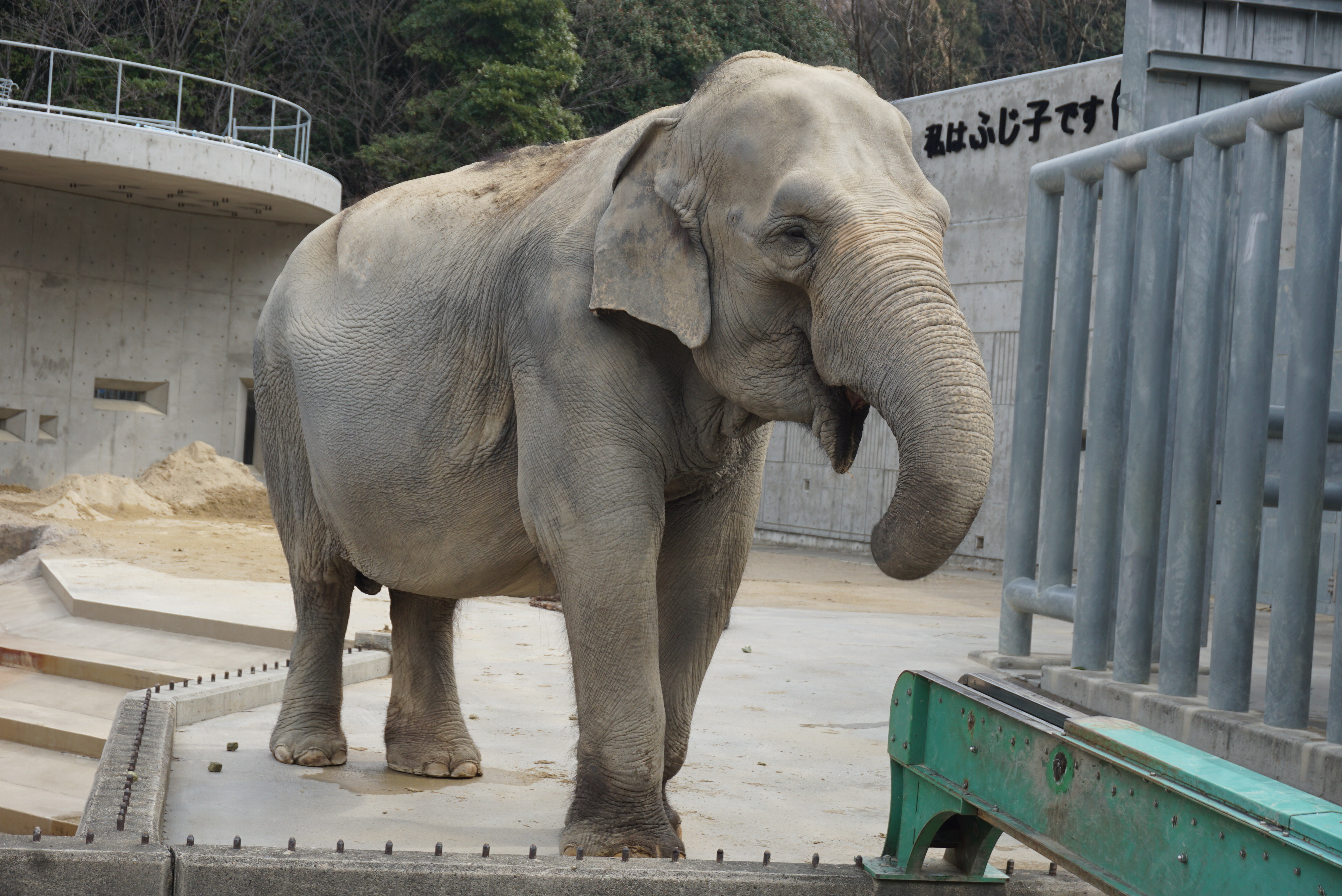 ★年長★お別れ遠足に行きました！①