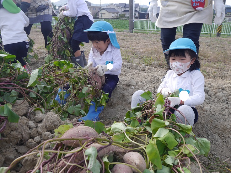 年中★芋掘りに出掛けたよ！