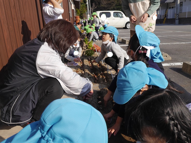 年中☆球根を植えました:画像３