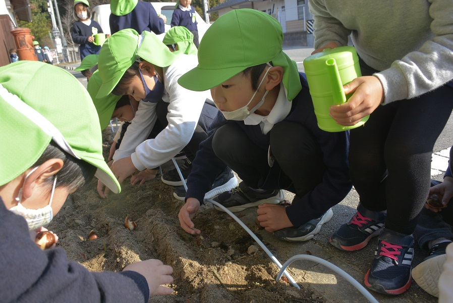年中☆球根を植えました