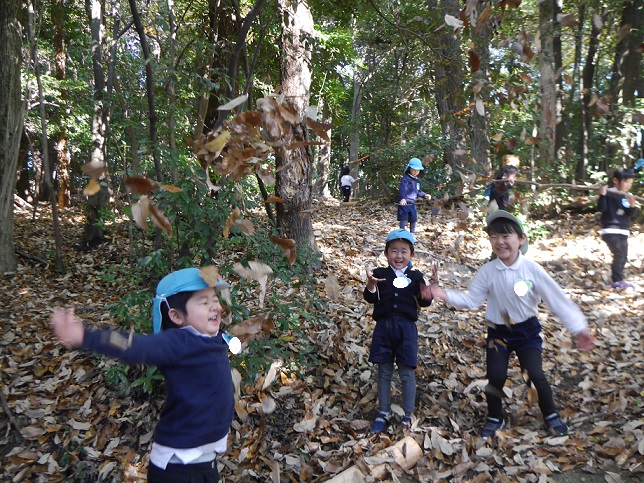 秋が深まってきましたね