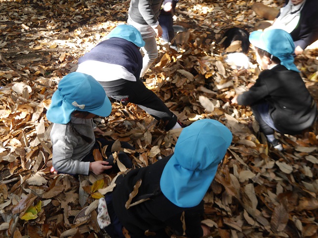 秋が深まってきましたね🍂年中:画像４