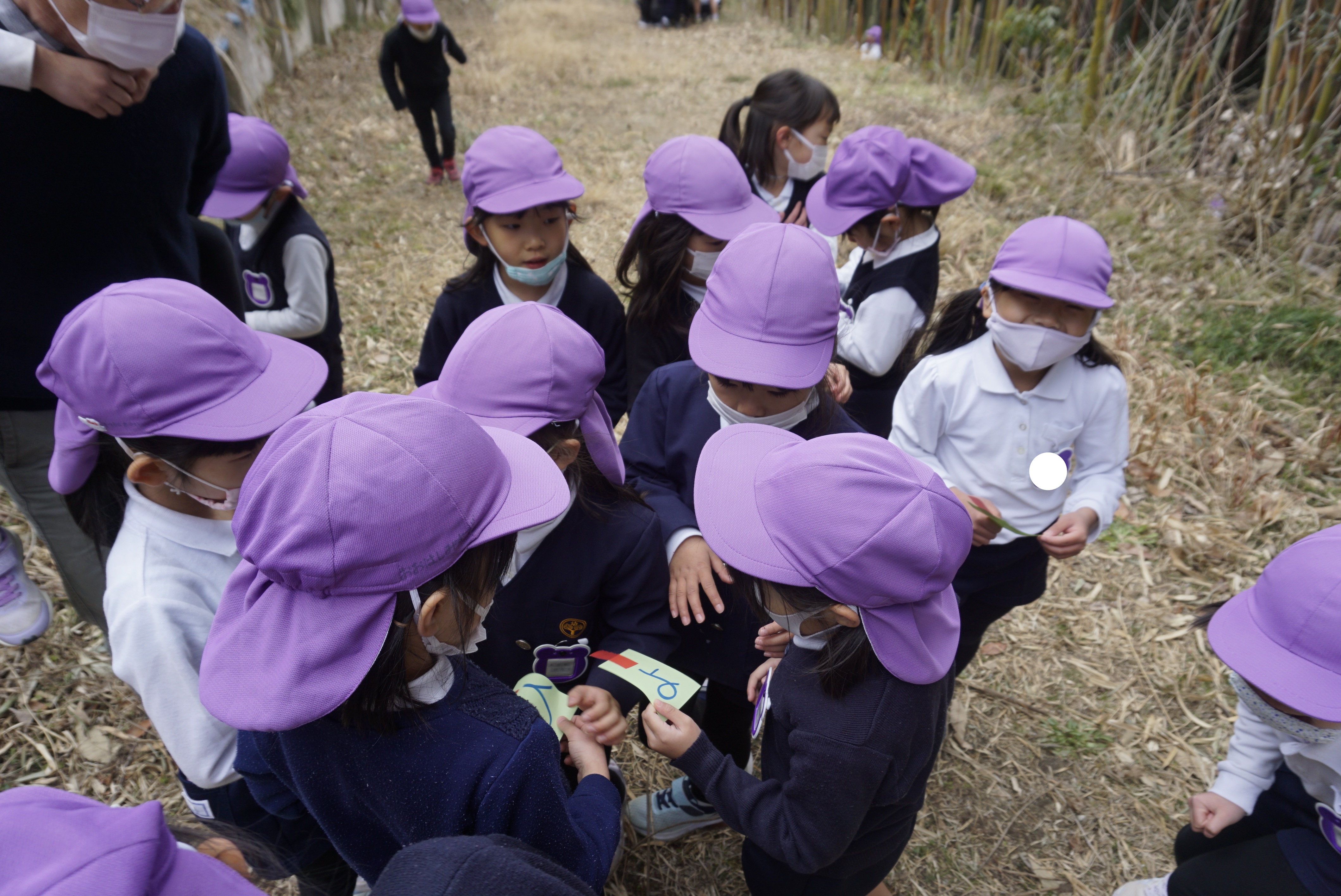 ★年長★竹林で遊びました!:画像2