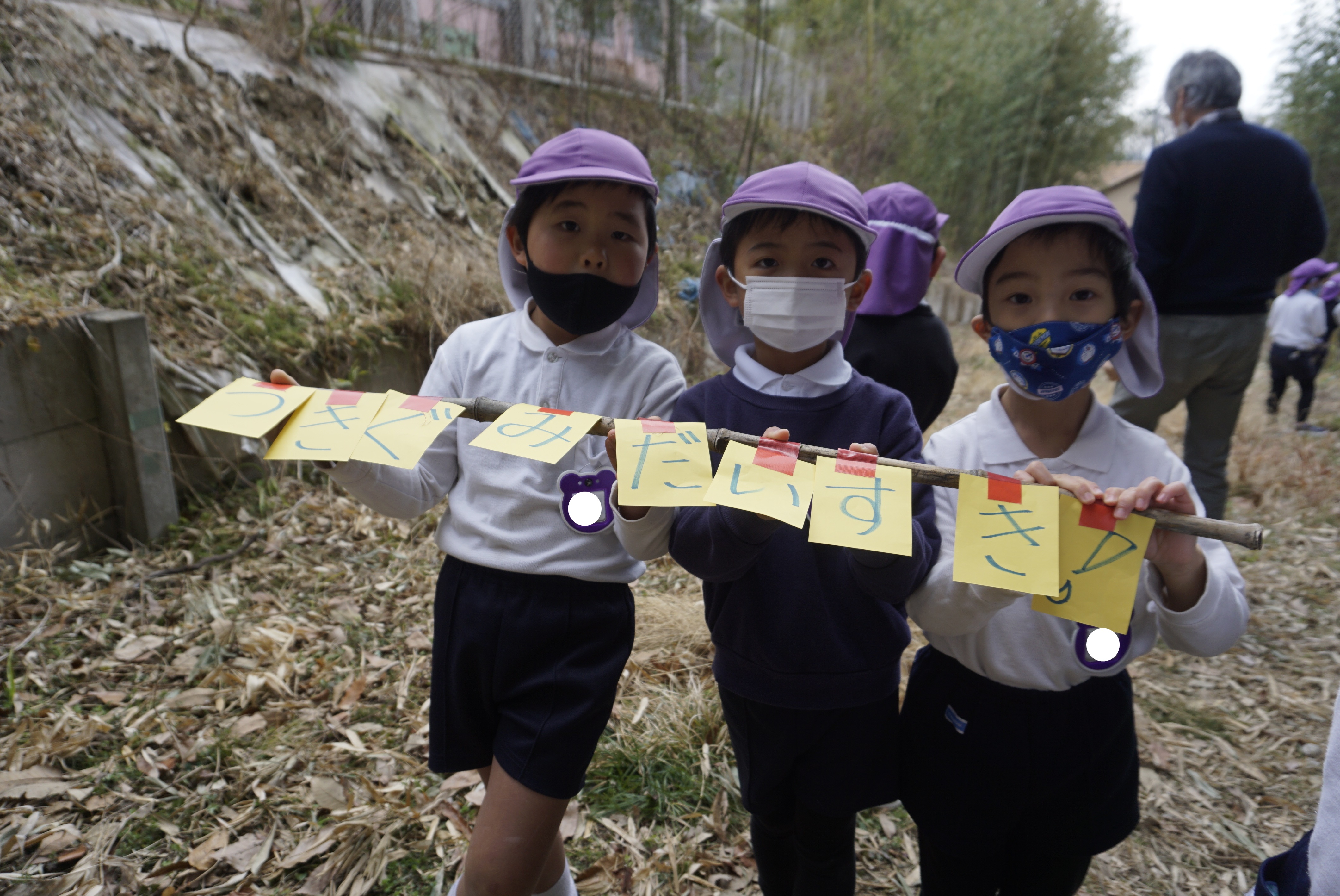 ★年長★竹林で遊びました!:画像3