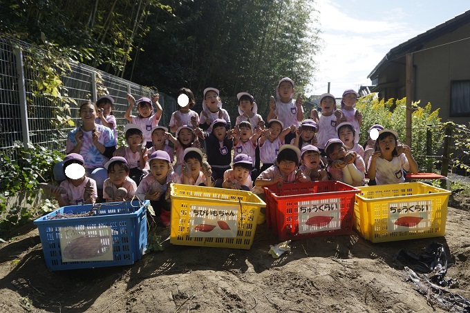 さつまいも掘りをしました！！　★年長★:画像６