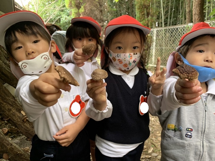 しいたけを採りました♡年少♡:画像6