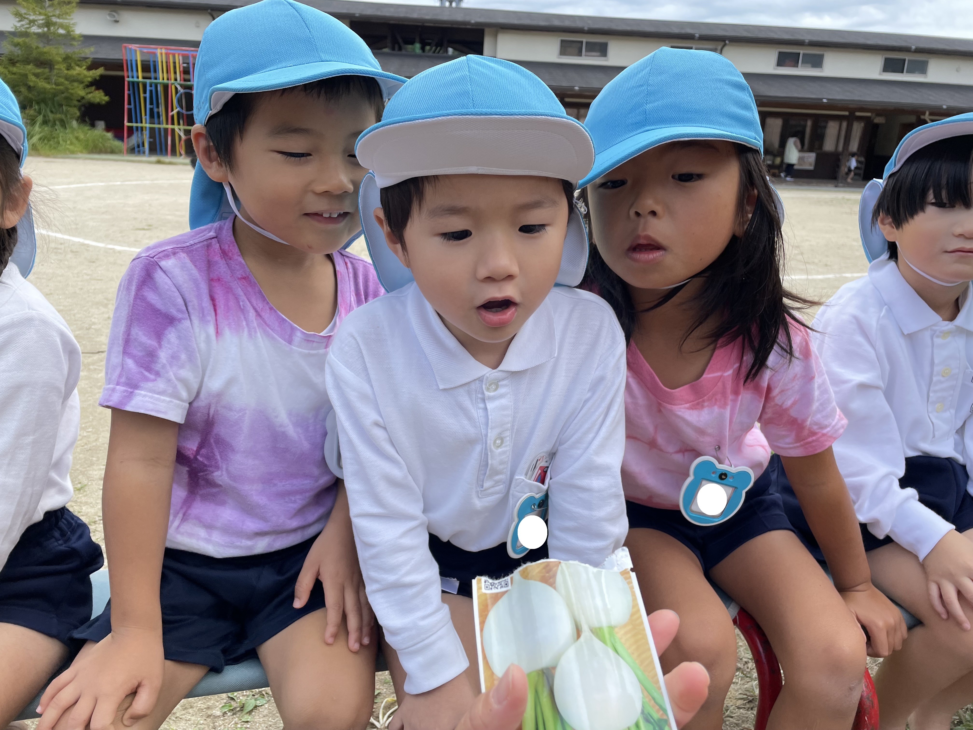 ★年中★冬野菜を植えました！