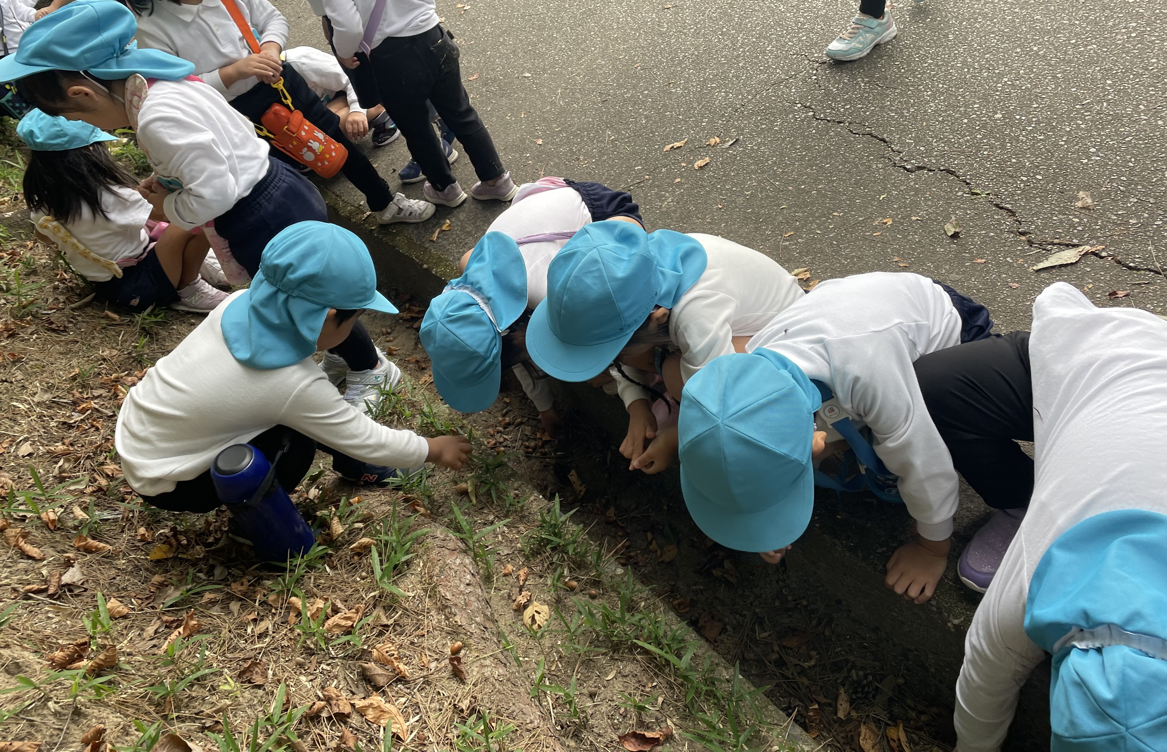 ★年中★東公園へ散歩に行きました!:画像4