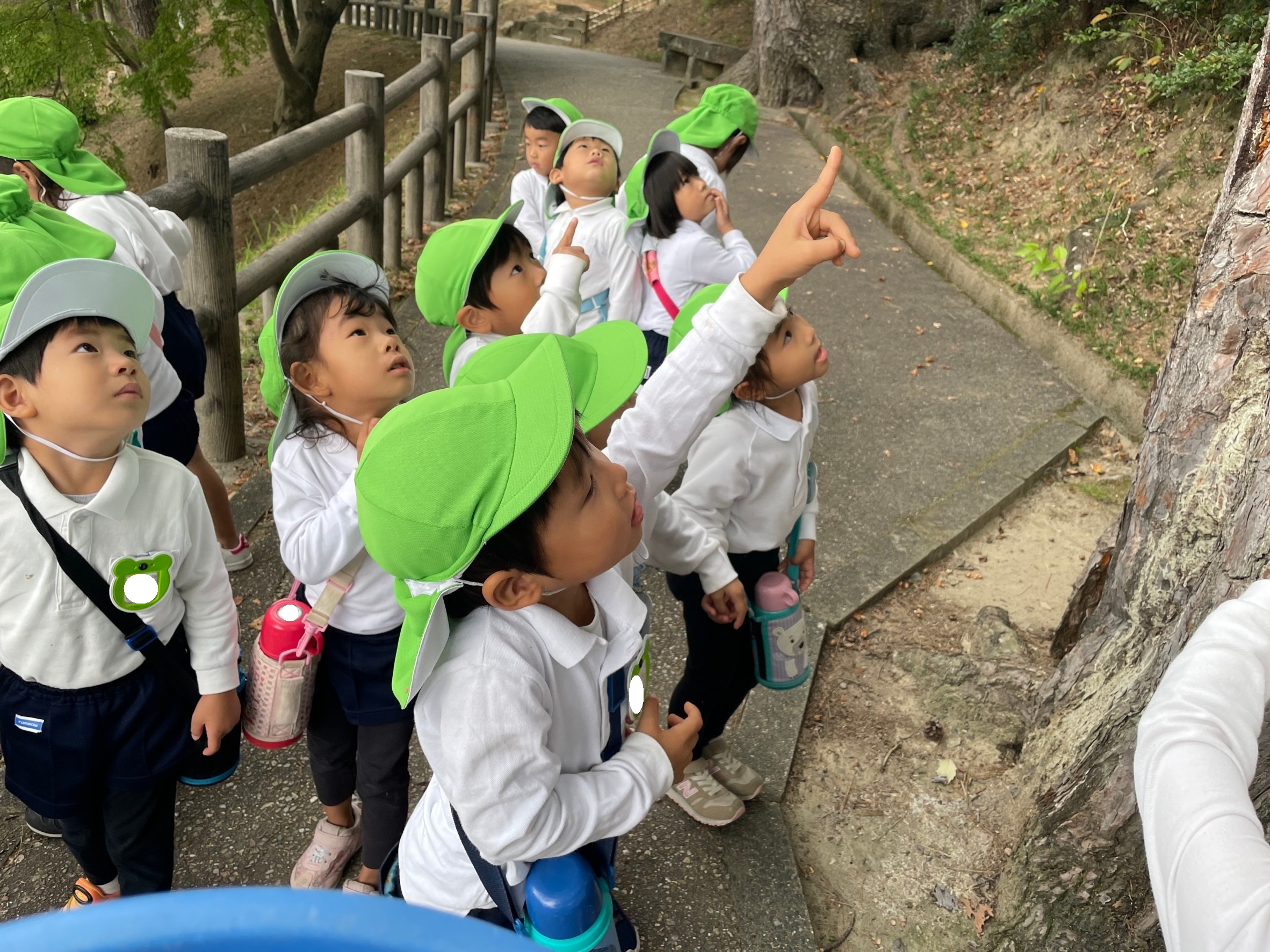 ★年中★東公園へ散歩に行きました!:画像3