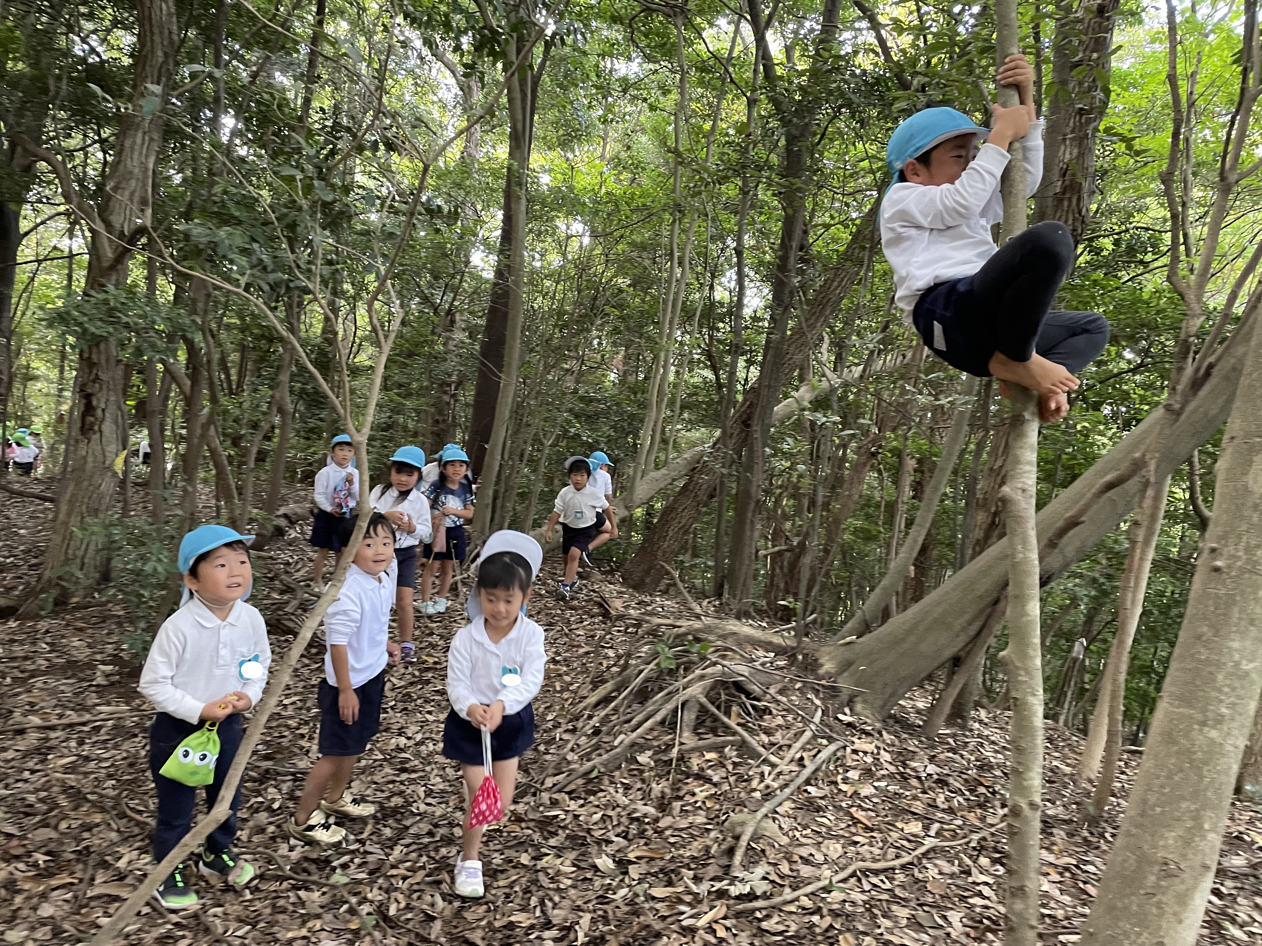 ★年中★お昼の様子!:画像4