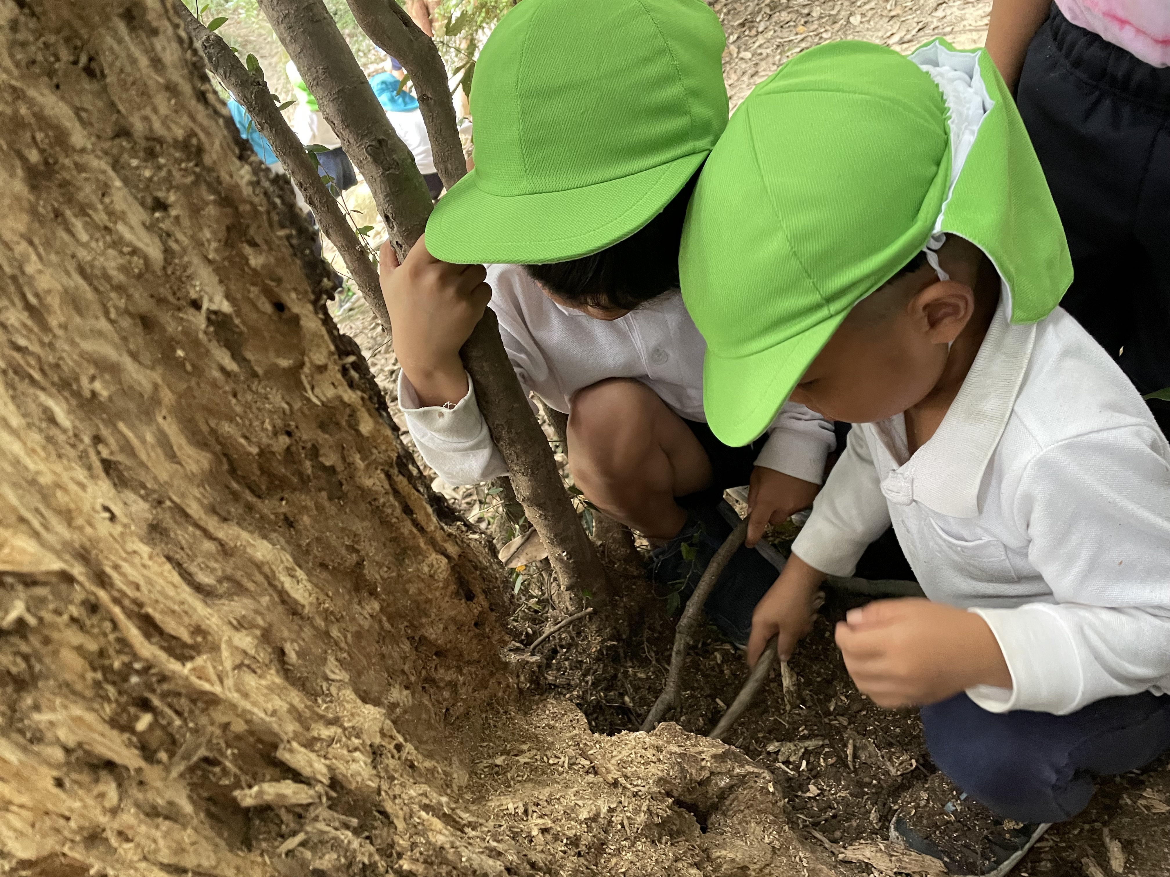 ★年中★お昼の様子!:画像3