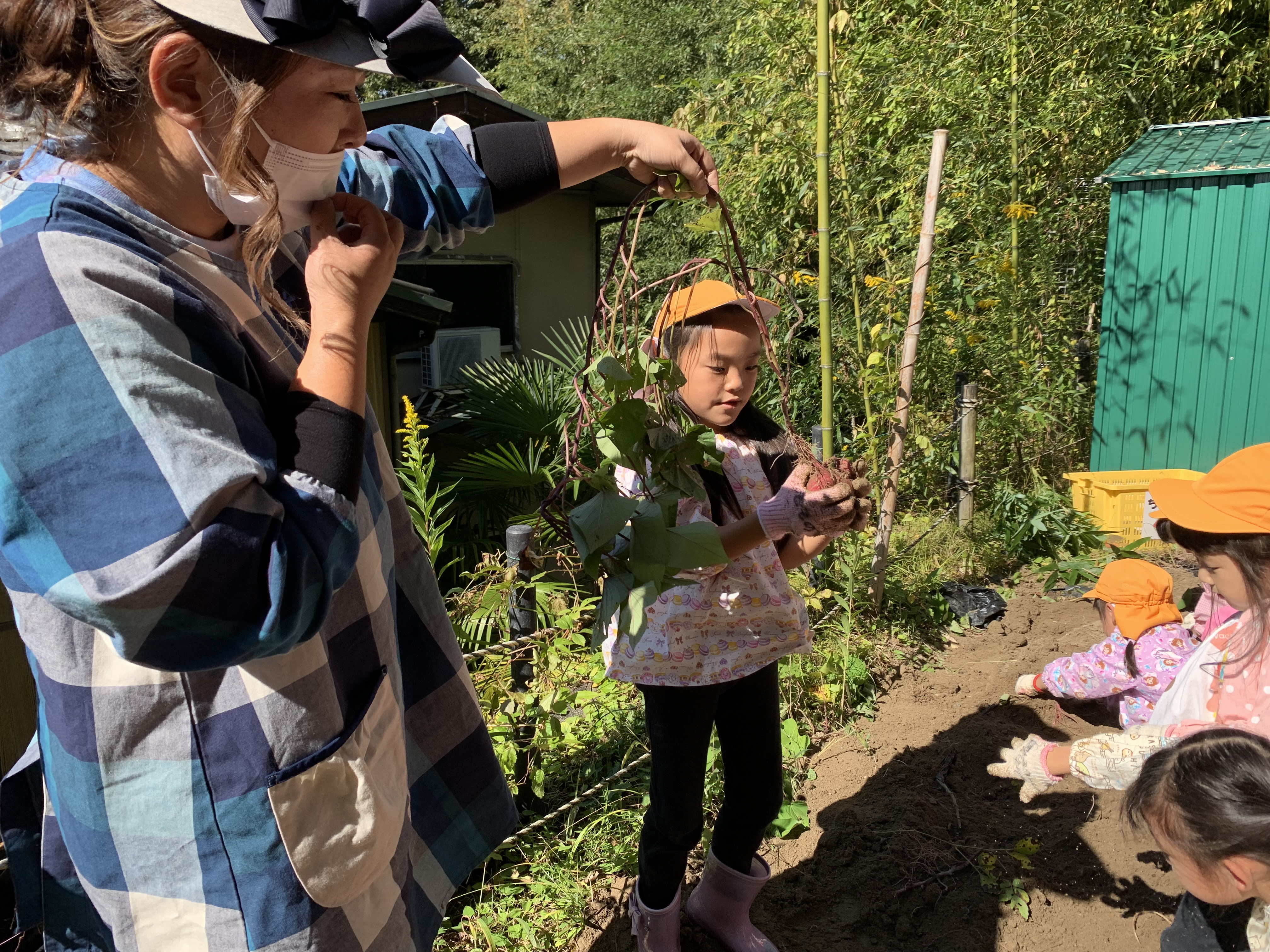 さつまいも掘りをしました！！　★年長★:画像４