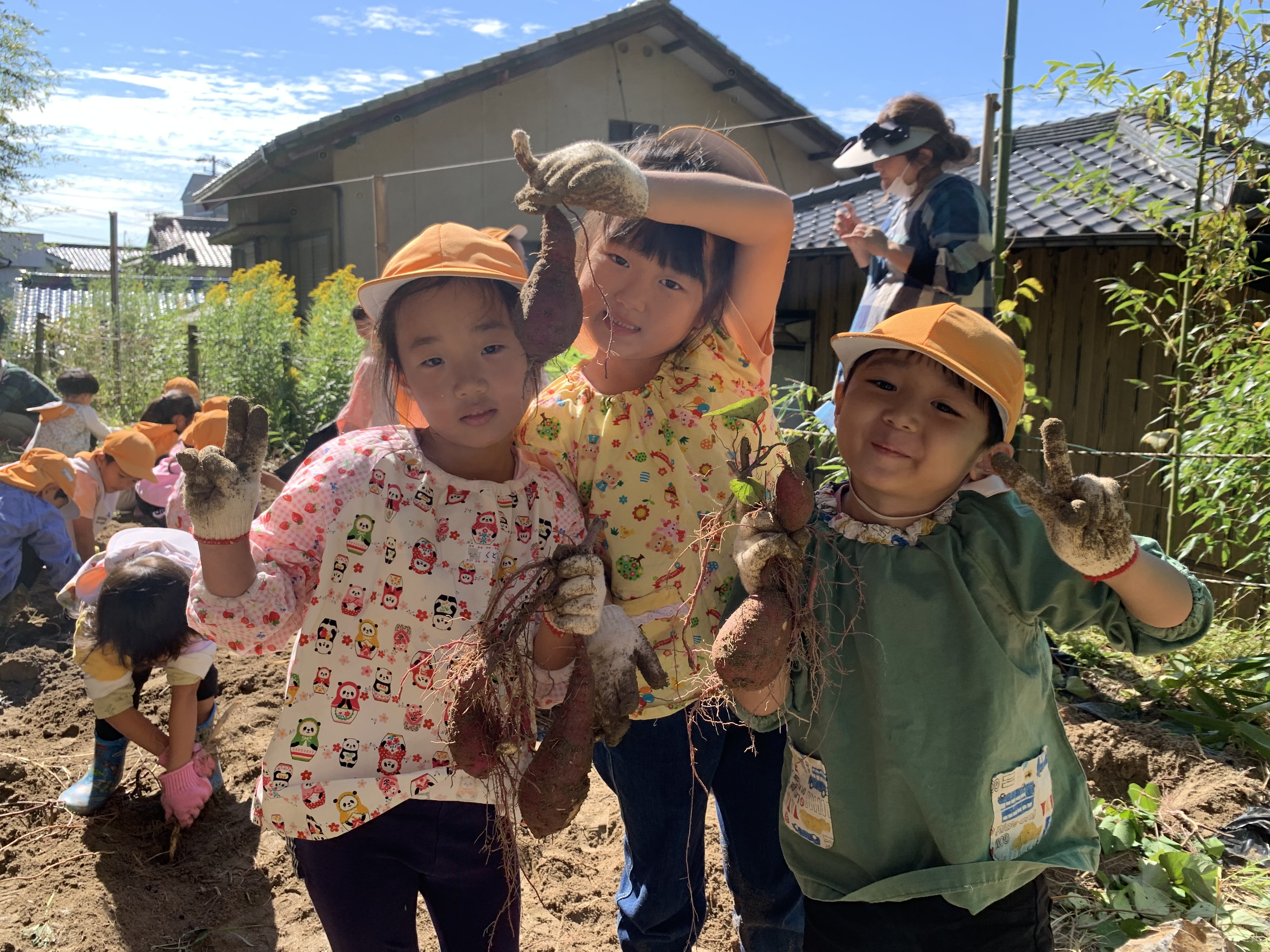 さつまいも掘りをしました！！　★年長★:画像５