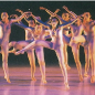 1991年（平成03） 第3回「全日本大学・高校ダンスフェスティバル（神戸）」特別賞を受賞
