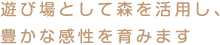 遊び場として森を活用し 豊かな感性を育みます