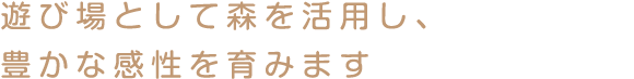 遊び場として森を活用し 豊かな感性を育みます