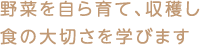 野菜を自ら育て、収穫し 食の大切さを学びます
