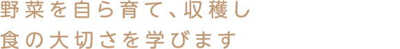 野菜を自ら育て、収穫し 食の大切さを学びます