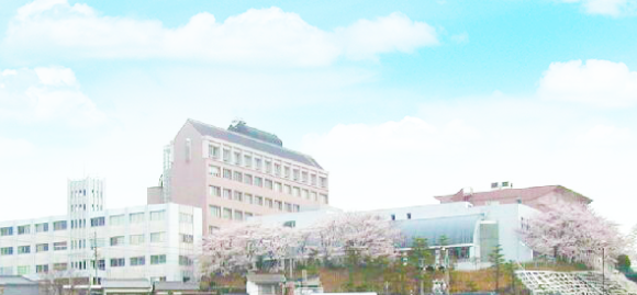 2013年 岡崎女子大学開学